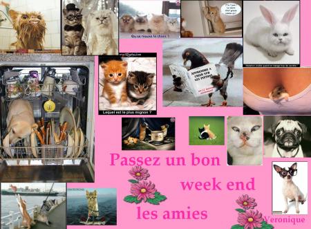 TOUS NOS AMIS SE SONT REUNIS POUR VOUS SOUHAITER UN BON WEEK END
