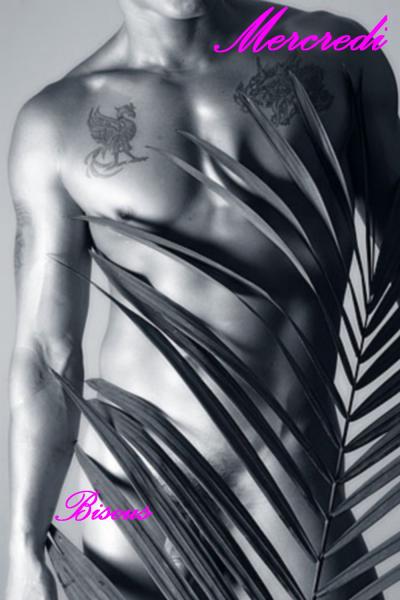 UN MERCREDI A L'OMBRE D'UN PALMIER